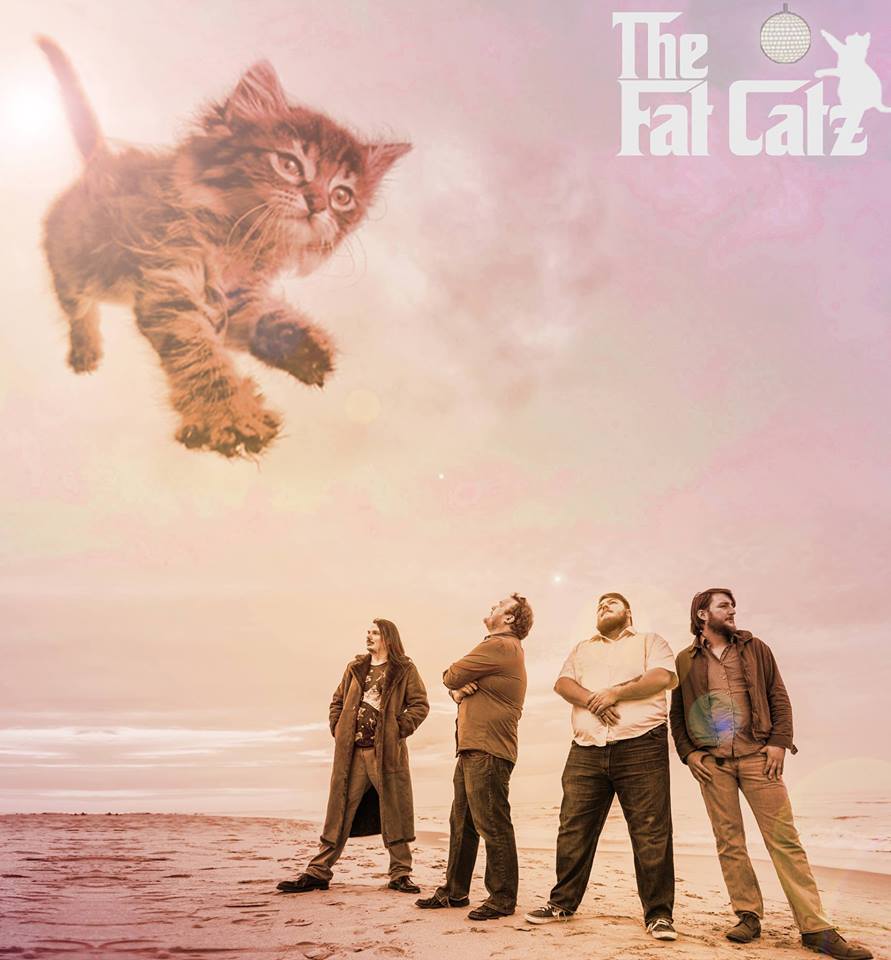 The Fat Catz - The Walrus